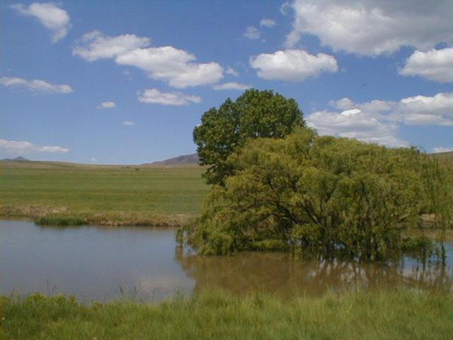 Royal Coachman Villa Clarens Kültér fotó